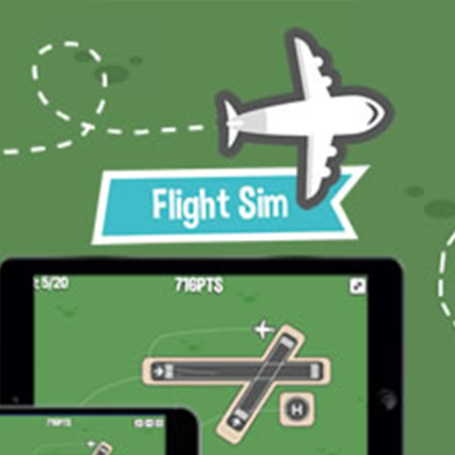 Flight Sim
